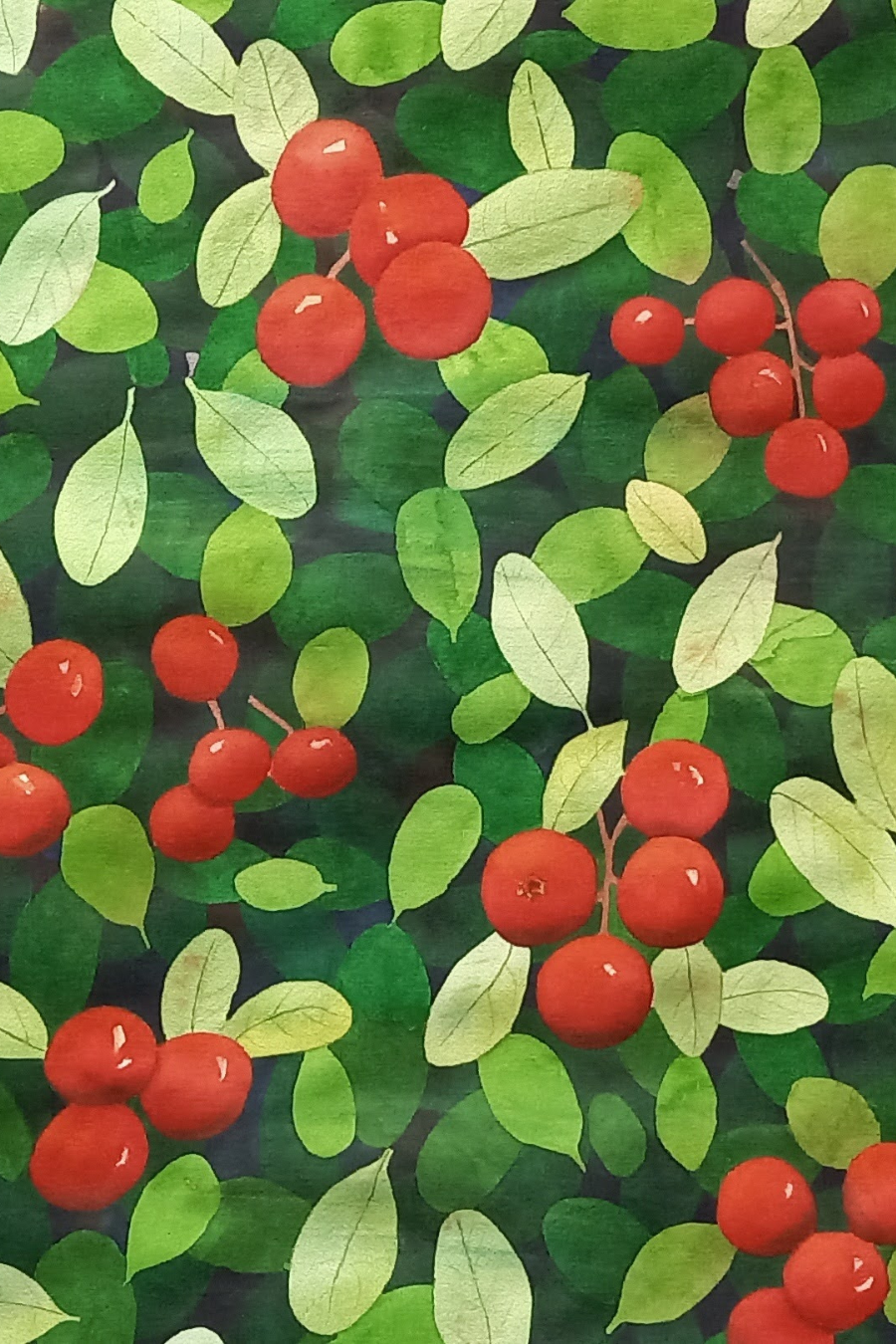 Lingon - Paintings4you