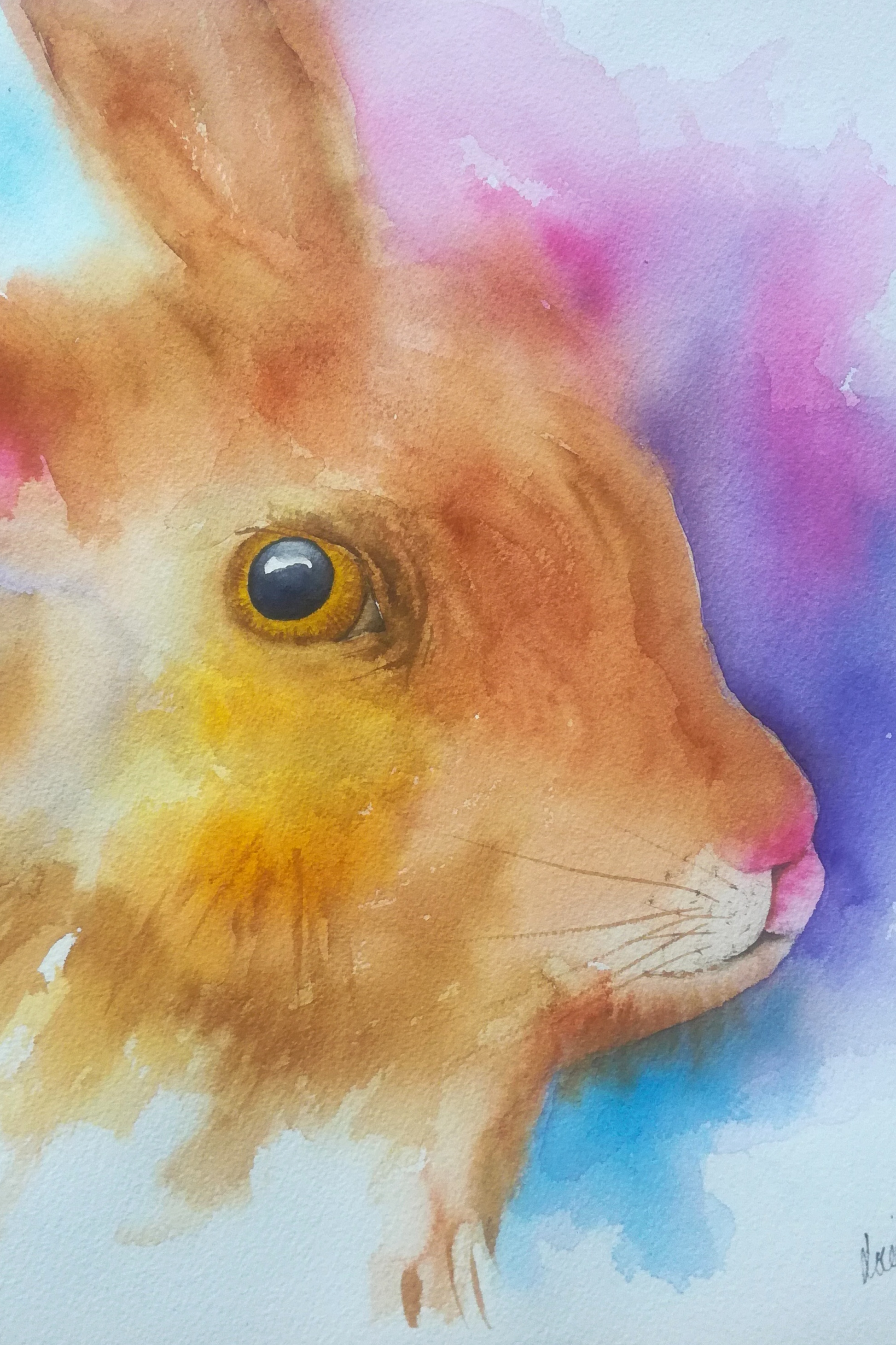 Färgglad kanin - Paintings4you