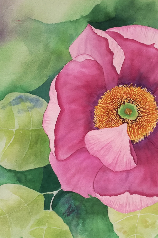 Blommotiv i akvarell – unik konst med pion i rosa nyanser. Passar både moderna och klassiska inredningar.